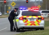 motorista embriagado