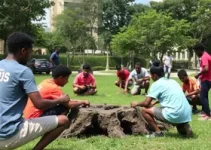 Projeto Raízes do Aço