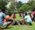 Projeto Raízes do Aço