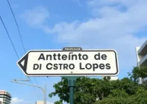 Rua Professor Antônio de Castro Lopes parada