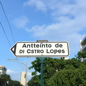 Rua Professor Antônio de Castro Lopes parada